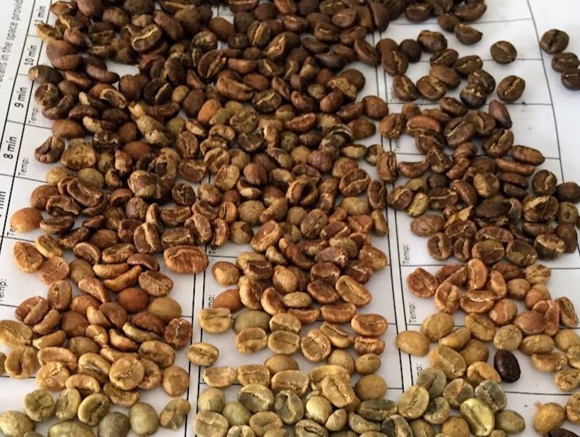 Daily Coffee News
