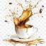 Barista Basics: From Zero to Hired